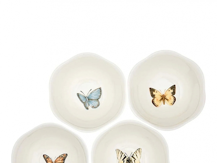 Butterfly Salata Komp/Kasesi, 4 Renk, 12X6Cm, 4 Lü Set