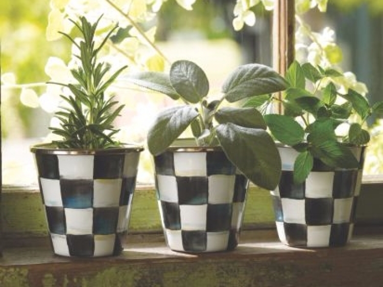 Courtly Check Enamel Herb Pots - Set Of 3