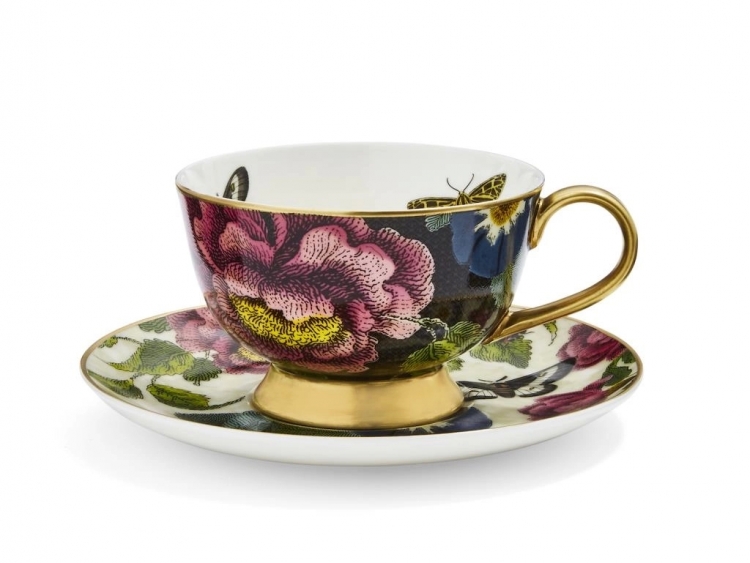 Spode Creatures Of Curiosity Coupe (Black/Cream) Çay Fincanı