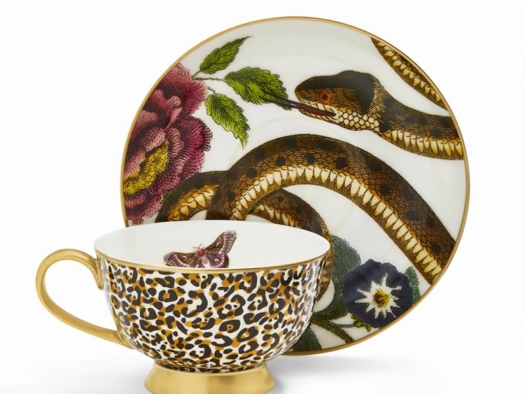 Spode Creatures Of Curiosity Coupe (Leopard/Snake) Çay Fincanı