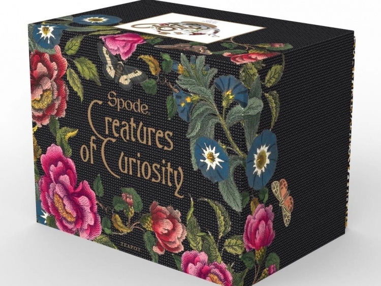 Spode Creatures Of Curiosity Demlik